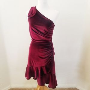NWT VELVET One shoulder ruffle ruched wine dress